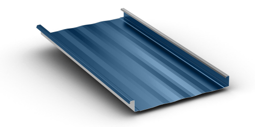 maxima_2_striated_Regal_Blue